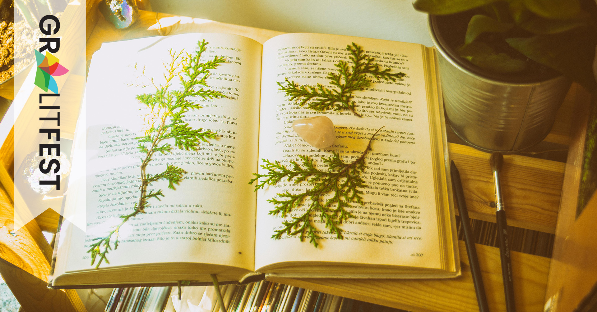 open book with plants and stone