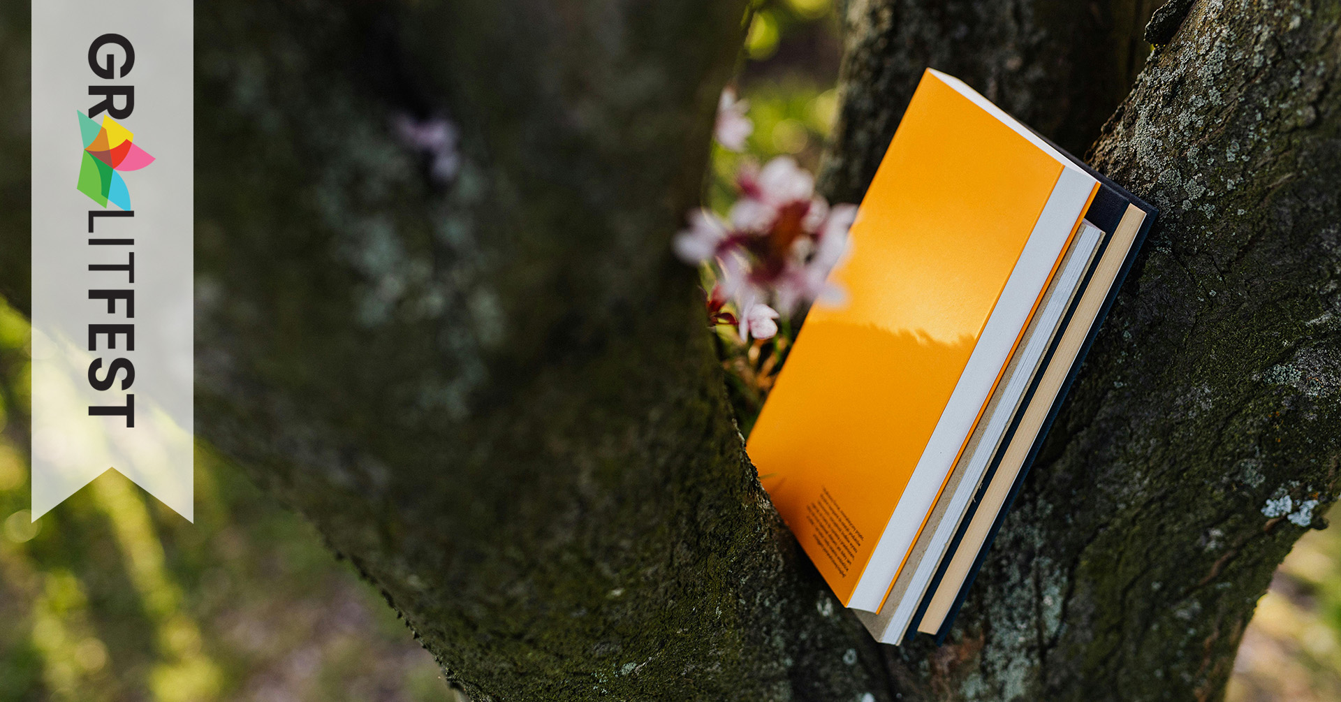 books in crook of tree