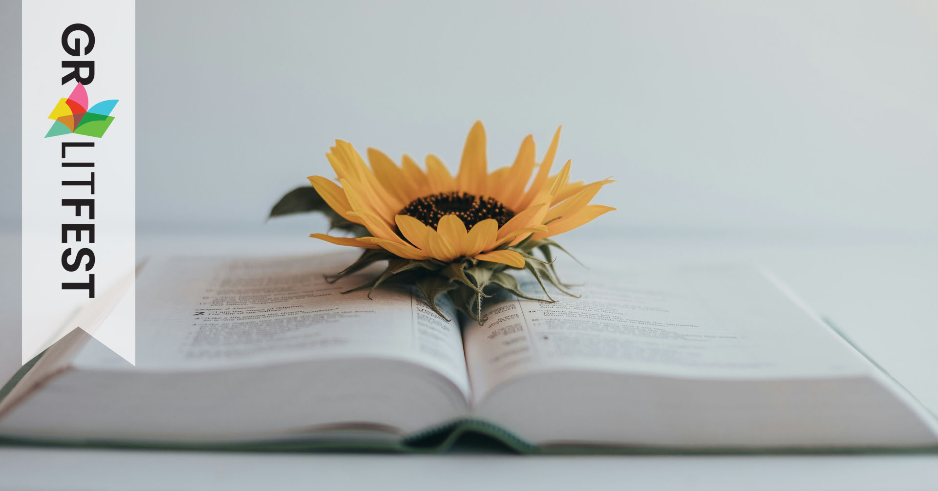sunflower bloom on open book